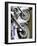 Harley Davidson Motorcycles-null-Framed Photographic Print