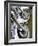 Harley Davidson Motorcycles-null-Framed Photographic Print