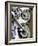 Harley Davidson Motorcycles-null-Framed Photographic Print