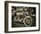 Harley-Stephen Arens-Framed Photographic Print