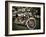 Harley-Stephen Arens-Framed Photographic Print