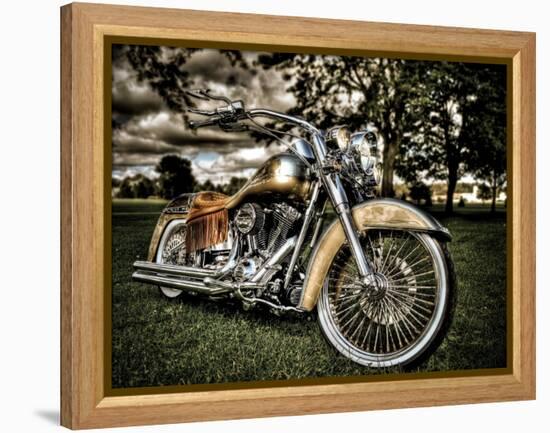 Harley-Stephen Arens-Framed Premier Image Canvas