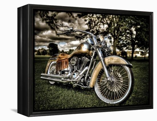 Harley-Stephen Arens-Framed Premier Image Canvas