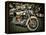 Harley-Stephen Arens-Framed Premier Image Canvas