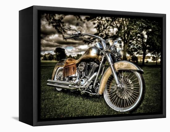 Harley-Stephen Arens-Framed Premier Image Canvas