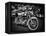 Harley-Stephen Arens-Framed Premier Image Canvas