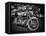 Harley-Stephen Arens-Framed Premier Image Canvas