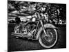 Harley-Stephen Arens-Mounted Photographic Print