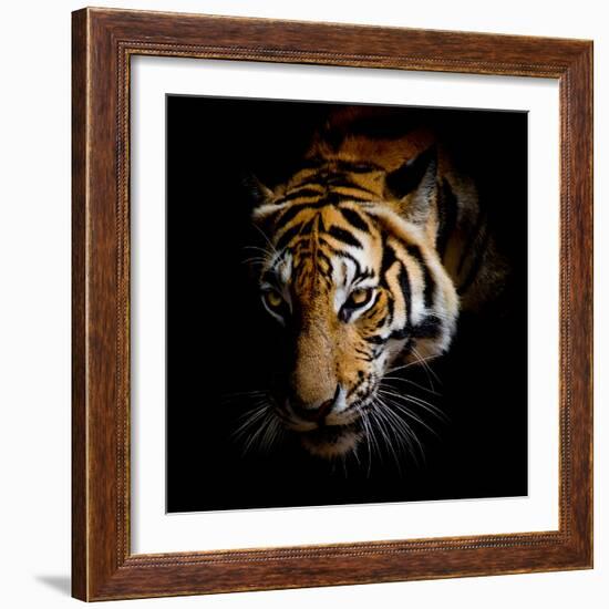 Harm-Kimberly Allen-Framed Premium Giclee Print