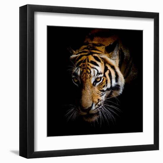 Harm-Kimberly Allen-Framed Art Print