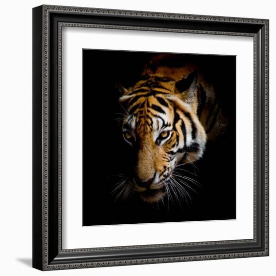 Harm-Kimberly Allen-Framed Art Print