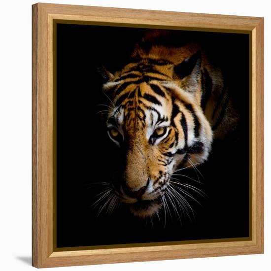 Harm-Kimberly Allen-Framed Stretched Canvas