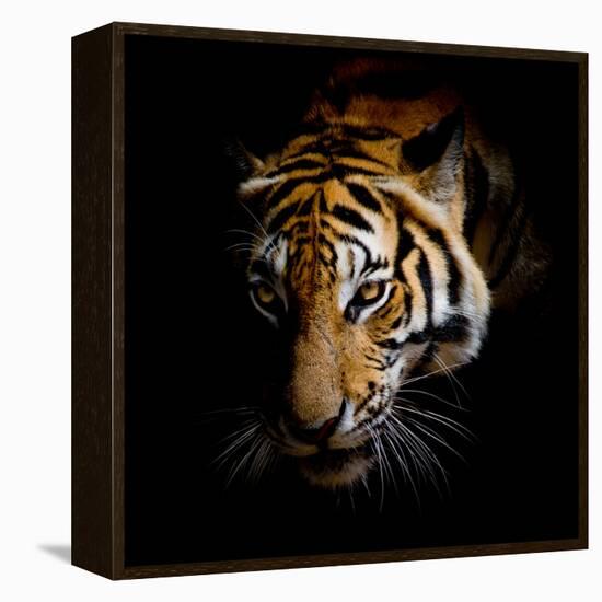 Harm-Kimberly Allen-Framed Stretched Canvas