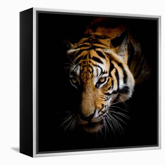 Harm-Kimberly Allen-Framed Stretched Canvas