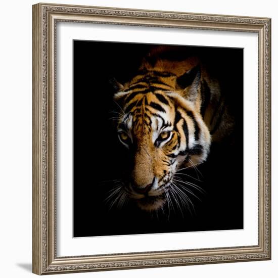 Harm-Kimberly Allen-Framed Art Print