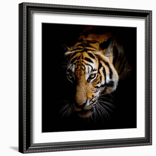 Harm-Kimberly Allen-Framed Art Print