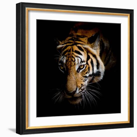 Harm-Kimberly Allen-Framed Art Print