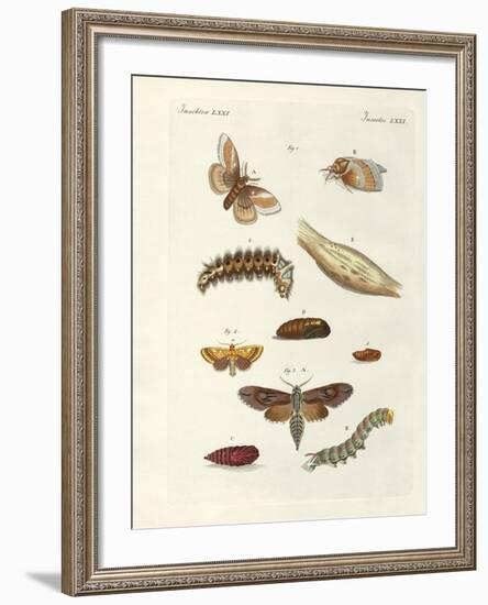 Harmful Butterflies-null-Framed Giclee Print