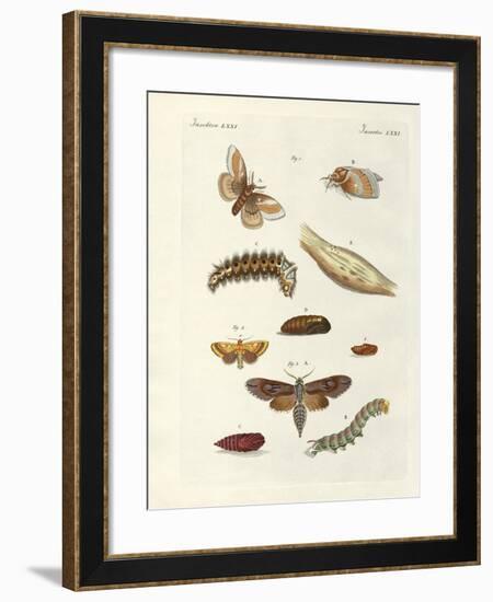 Harmful Butterflies-null-Framed Giclee Print