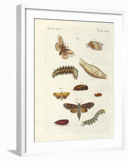 Harmful Butterflies-null-Framed Giclee Print