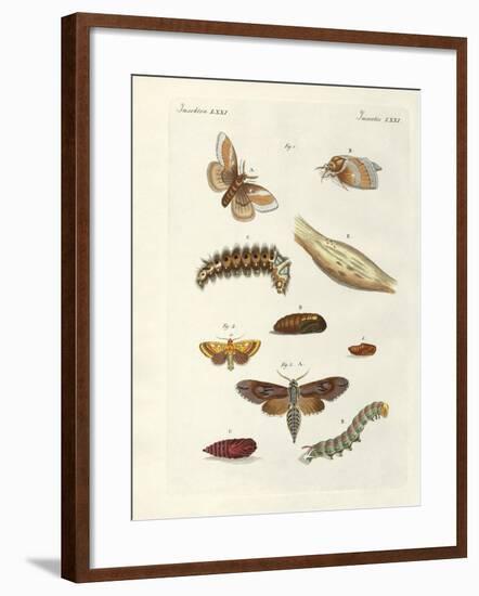 Harmful Butterflies-null-Framed Giclee Print