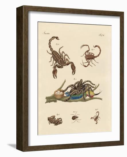 Harmful Insects from Hot Countries-null-Framed Giclee Print