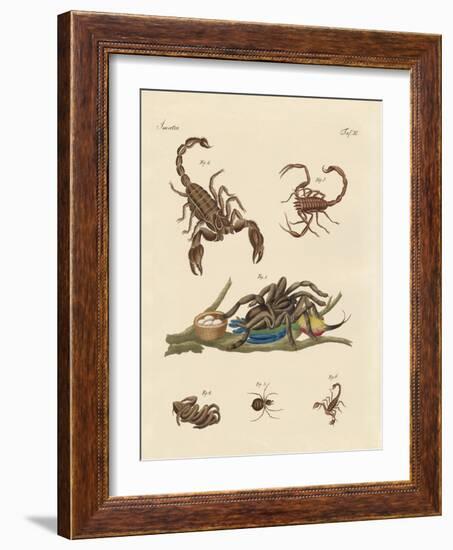 Harmful Insects from Hot Countries-null-Framed Giclee Print