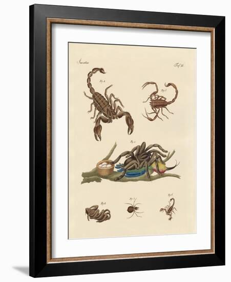 Harmful Insects from Hot Countries-null-Framed Giclee Print