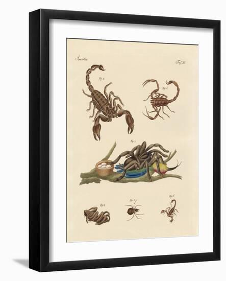 Harmful Insects from Hot Countries-null-Framed Giclee Print