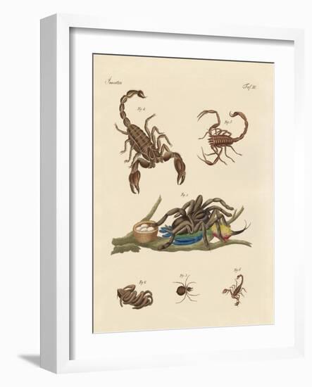 Harmful Insects from Hot Countries-null-Framed Giclee Print