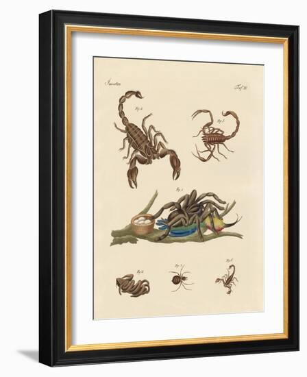 Harmful Insects from Hot Countries-null-Framed Giclee Print