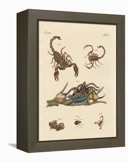 Harmful Insects from Hot Countries-null-Framed Premier Image Canvas