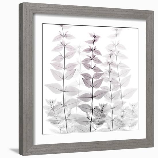 Harmonious Deliverance-Albert Koetsier-Framed Photographic Print