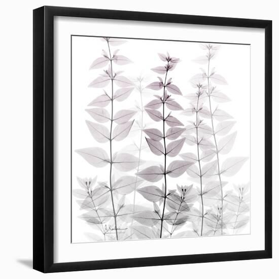 Harmonious Deliverance-Albert Koetsier-Framed Photographic Print