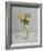 Harmonious Flowers-Steven Johnson-Framed Giclee Print