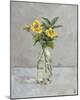 Harmonious Flowers-Steven Johnson-Mounted Giclee Print