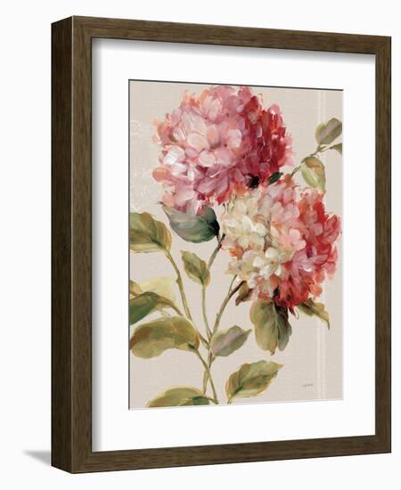 Harmonious Hydrangeas Linen-Lisa Audit-Framed Art Print