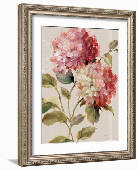 Harmonious Hydrangeas Linen-Lisa Audit-Framed Art Print