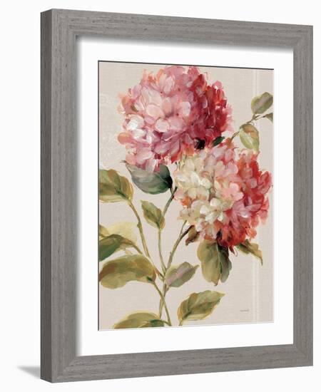 Harmonious Hydrangeas Linen-Lisa Audit-Framed Art Print