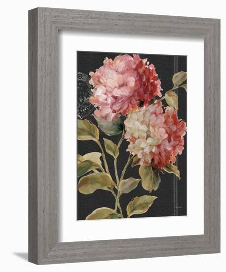 Harmonious Hydrangeas-Lisa Audit-Framed Premium Giclee Print