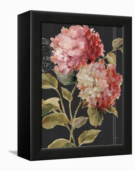 Harmonious Hydrangeas-Lisa Audit-Framed Stretched Canvas