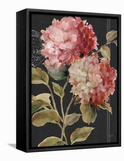 Harmonious Hydrangeas-Lisa Audit-Framed Stretched Canvas