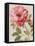 Harmonious Rose Linen-Lisa Audit-Framed Stretched Canvas