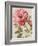 Harmonious Rose Linen-Lisa Audit-Framed Art Print