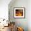 Harmonious Space-Nancy Ortenstone-Framed Art Print displayed on a wall