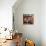 Harmonize-Kristin Nelson-Mounted Giclee Print displayed on a wall