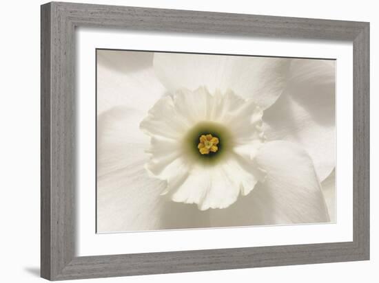 Harmony Floral-Ben Wood-Framed Giclee Print
