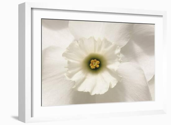 Harmony Floral-Ben Wood-Framed Giclee Print