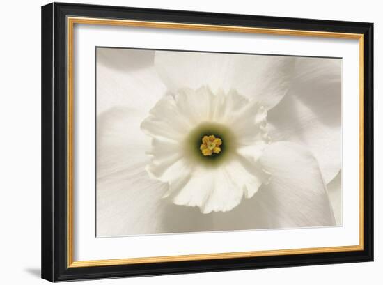 Harmony Floral-Ben Wood-Framed Giclee Print