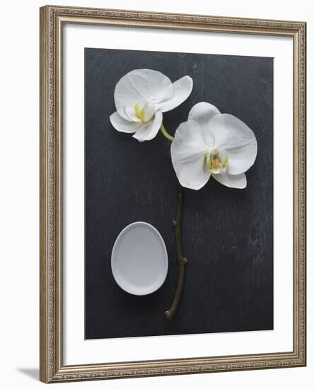 Harmony I-Camille Soulayrol-Framed Giclee Print